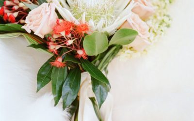 Mon deuxième article