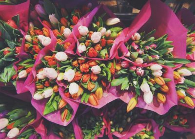 Bouquets de tulipes