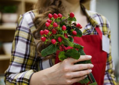 Plante avec boutons rouge